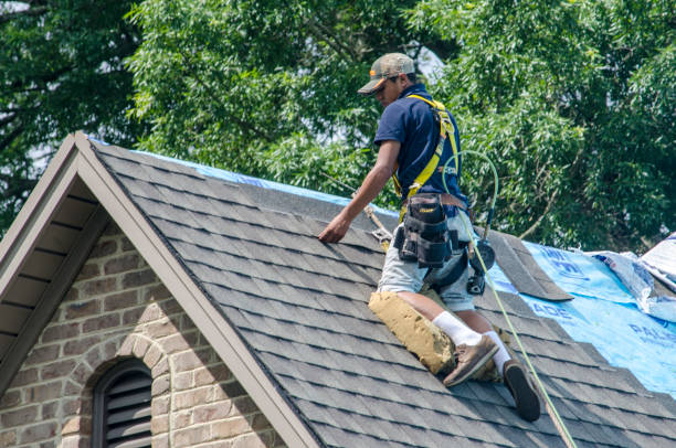 Best Local Roofing Companies  in Cuthbert, GA