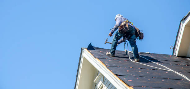 Best Shingle Roofing Installation  in Cuthbert, GA